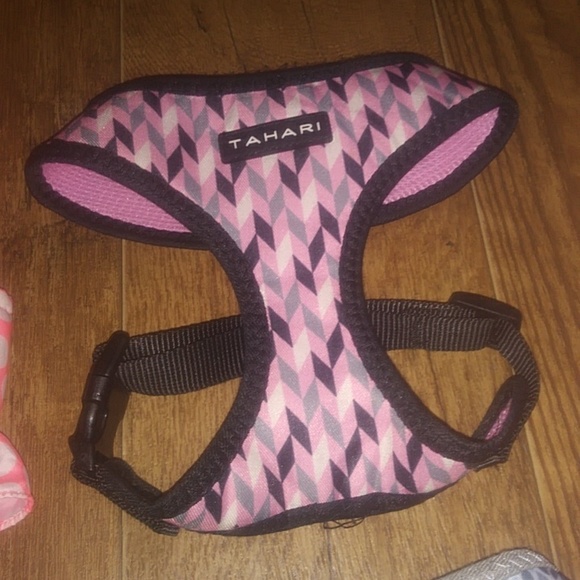 Tahari Dog Tahari Dog Harness Lot Poshmark